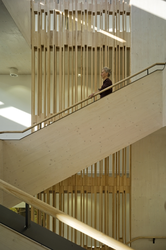 Woman walks down a timber staircase at The Woodland trust Headquarters
